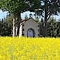 Chapelle Notre-Dame des Blés  (Chapelle Notre-Dame des Blés ) à Gouttières