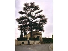 église Notre-Dame de Montignac-Toupinerie à Montignac-Toupinerie