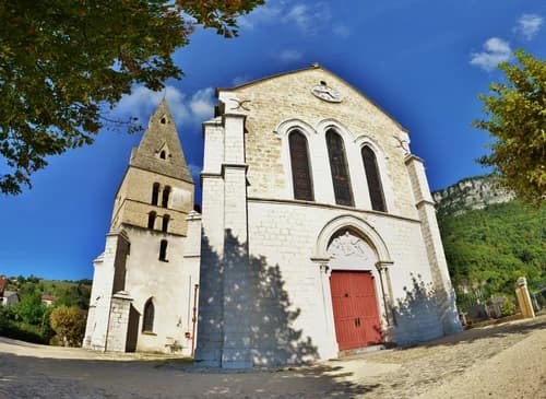 église Saint-Martin de La Buisse à La Buisse