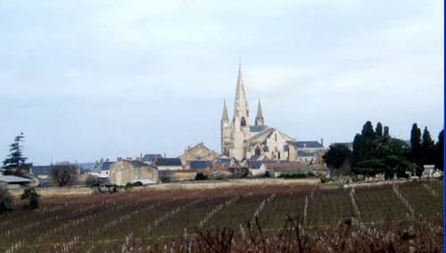 église Notre-Dame du Puy-Notre-Dame à Le Puy-Notre-Dame