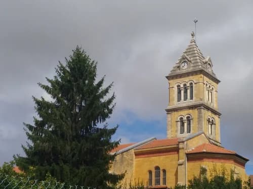 église Saint-Pierre-aux-Liens de Jarnosse à Jarnosse