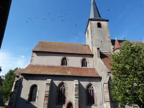 église Saint-Rémy de Fénétrange à Fénétrange
