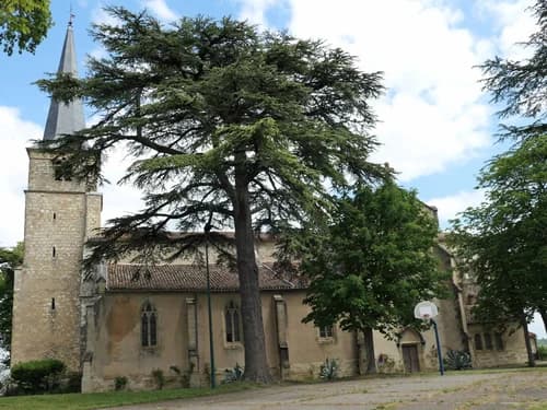 collégiale Sainte-Candide de Jegun à Jegun